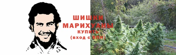 крисы Баксан