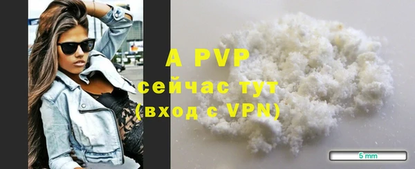 крисы Баксан