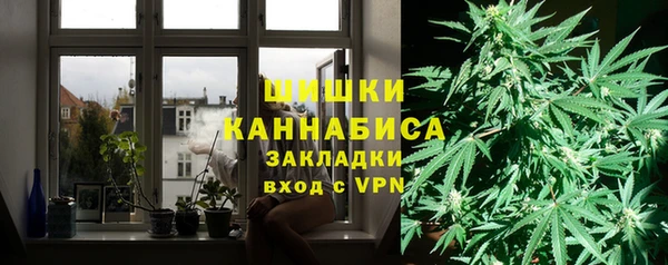 крисы Баксан