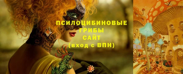 крисы Баксан