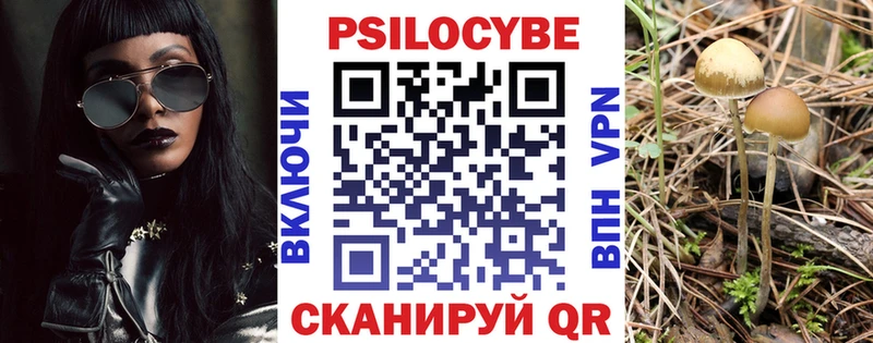 ссылка на мегу tor  Волгореченск  Псилоцибиновые грибы Cubensis 