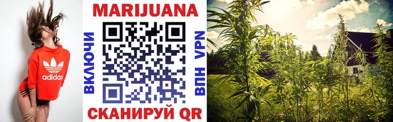 Бошки марихуана SATIVA & INDICA  Волгореченск 